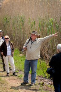 boavida-gundog-training-gauteng