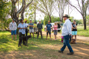 event-at-boavida-gundog-dog-training