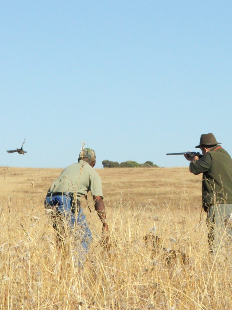 bird-hunting-south-africa