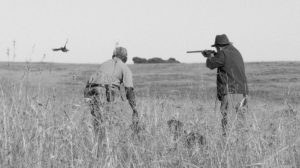 boavida wingshooting bird hunting