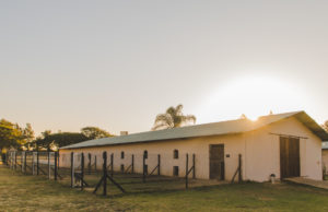 boavida-boarding-kennels